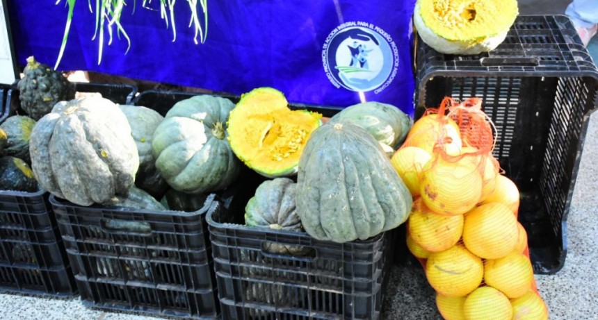 Este viernes habrá feria paippera extraordinaria con venta de chivitos formoseños