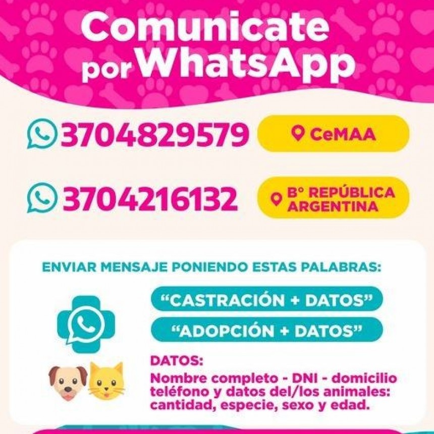 Programa de adopción y castraciones gratuita de la Municipalidad de Formosa