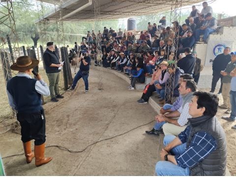 Tras remate ganadero, destacan apoyo del Gobierno provincial a pequeños productores