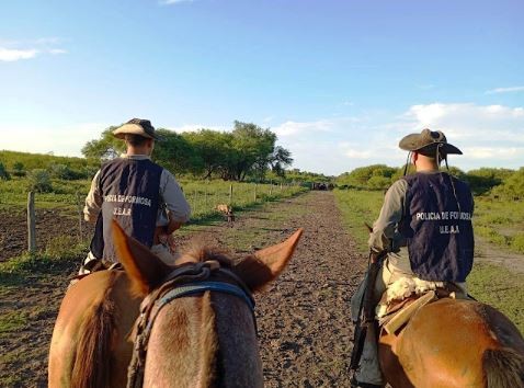 La Policía investiga un caso de abigeato
