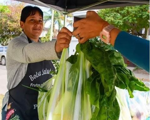 Continúa esta semana la venta de bolsones saludables en diversos puntos de la ciudad