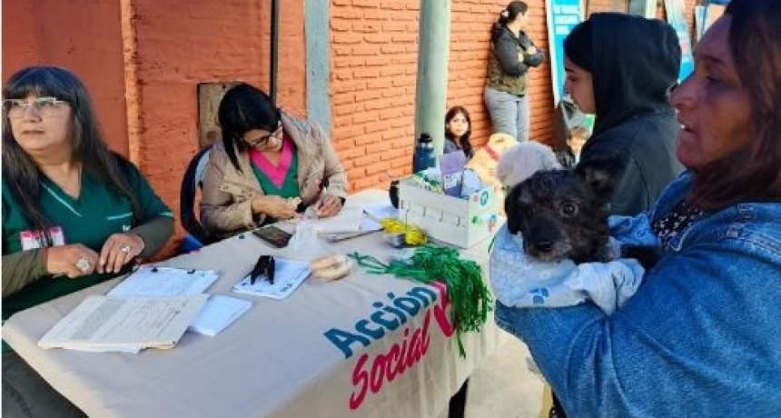 Operativos barriales: más de 700 animales fueron atendidos por Zoonosis en la última semana