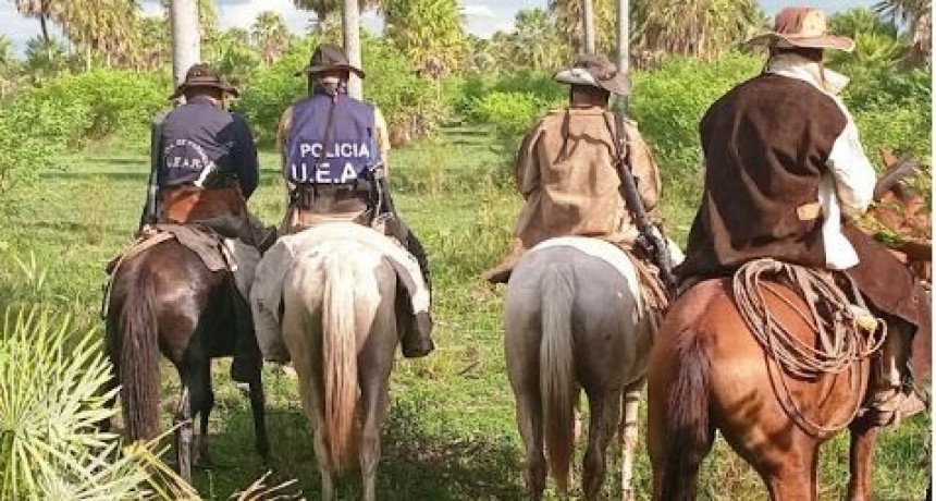 La Policía se enfrentó a tiros a delincuentes paraguayos y evitó un caso de abigeato