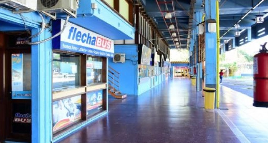 Elecciones 2025: La Dirección de Transporte informó los servicios especiales para este domingo