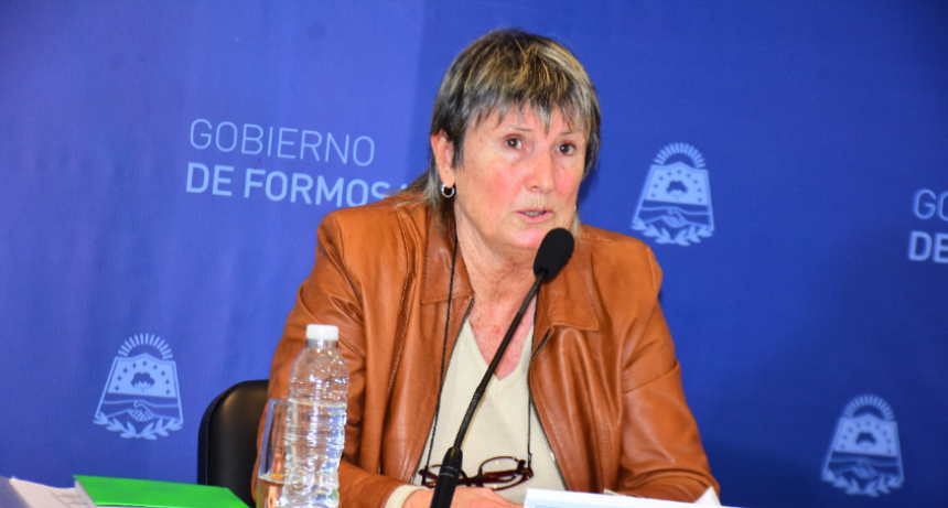 COVID-19: Mirassou informó que los casos actuales son de carácter leve