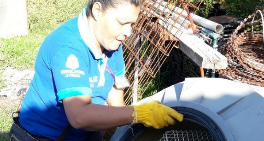 A pesar de los días frescos recuerdan continuar con la eliminación del Aedes aegypti