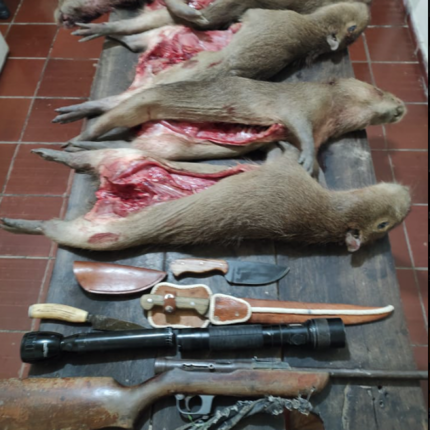 Cazadores furtivos fueron descubiertos por la Policía armados y con animales silvestres faenados