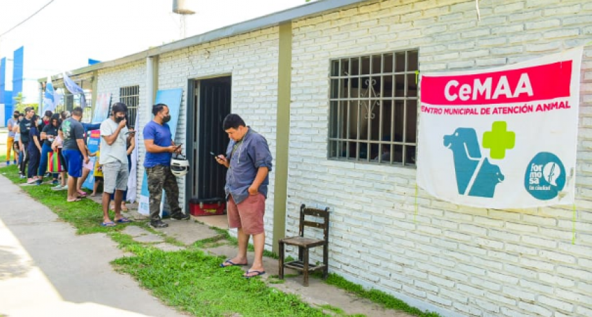 Inicia este lunes operativo de castraciones gratuitas en el barrio Guadalupe