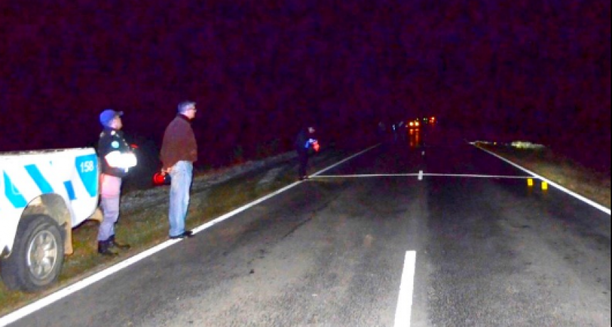 Un motociclista falleció en un siniestro vial sobre la Ruta Nacional 86