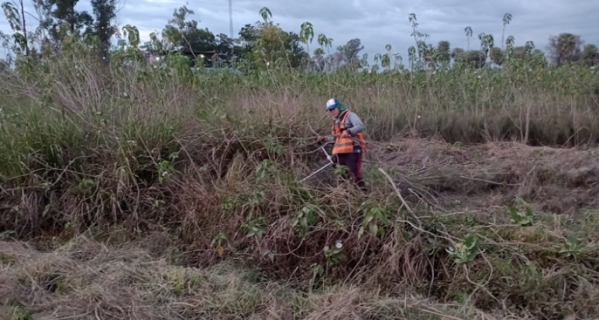 La municipalidad continúa poniendo a punto y embelleciendo los espacios verdes de la ciudad