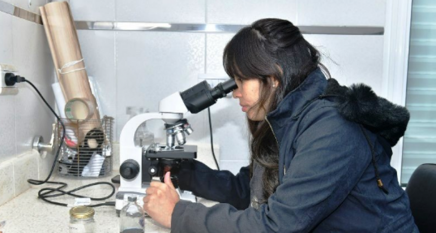 “Equipar Ciencia”: El Ministerio de Ciencia destinó a Formosa más de 500 mil dólares en equipos