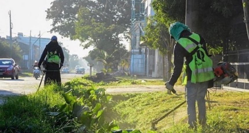 Acentúan tareas de embellecimiento de paseos y espacios públicos en todo el ejido urbano