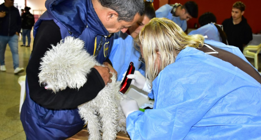 Se realizó una jornada de atención a mascotas en el barrio La Paz