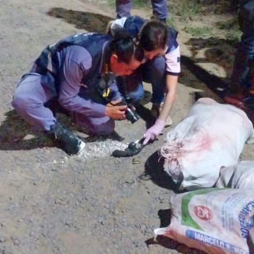 La Policía secuestró 131 kilos de carne vacuna mal habida y un arma de fuego