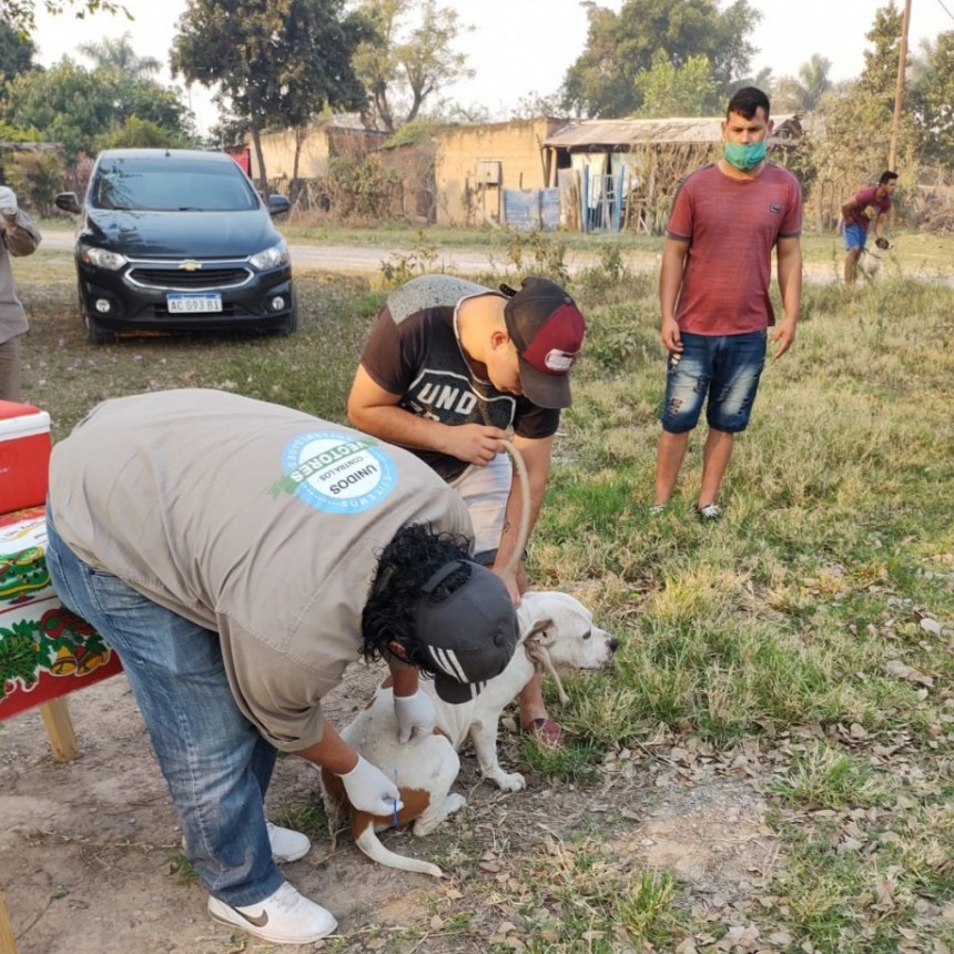 Se conmemora el 6 de julio el Día Mundial de las Zoonosis