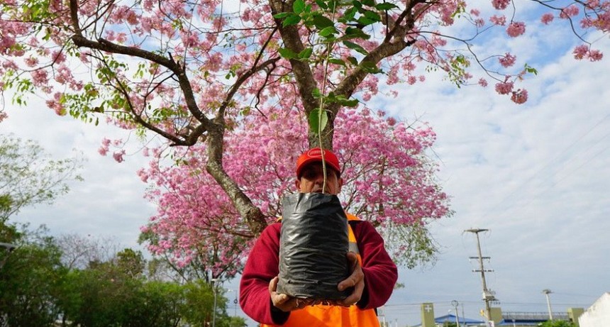 El Municipio hará entrega de plantines para celebrar el día Nacional de Conservación del Suelo