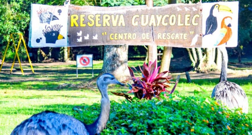 Vacaciones de invierno en Guaycolec: Todos los días de 9 a 16 horas