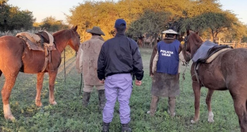 La Policía esclareció un caso de abigeato en la localidad de La Frontera