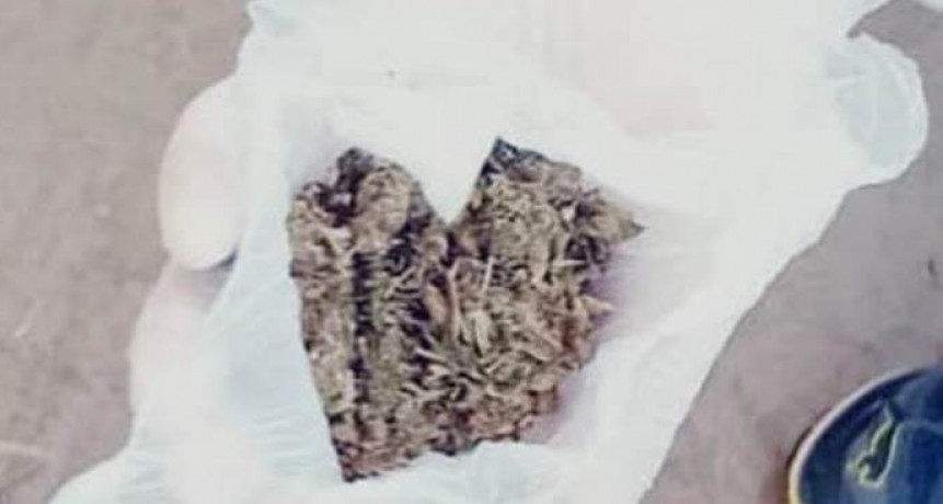 Unos siete sujetos fueron demorados por tenencia de drogas