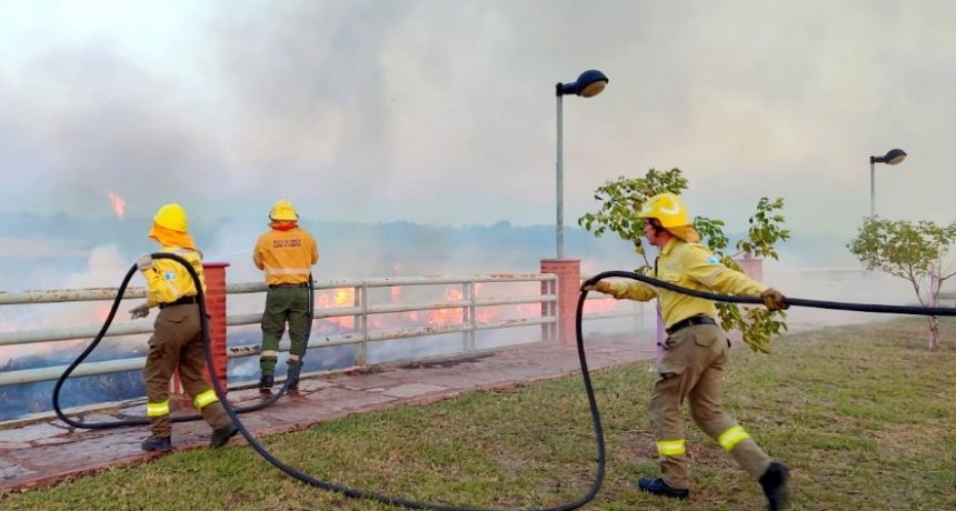 En tres meses, Bomberos tomó intervención en 232 casos de quema de pastizales e incendio de campos