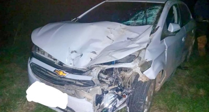 Un conductor embistió y mató a un caballo que se le cruzó en plena Ruta Nacional N° 86