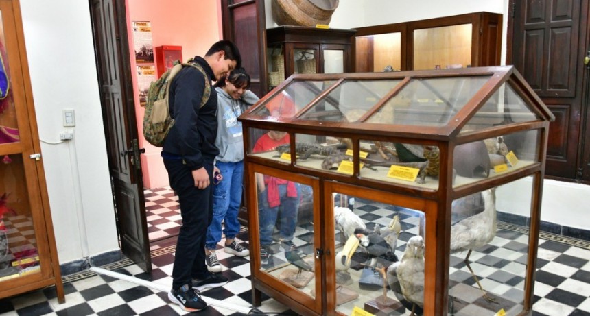 Cultura en vacaciones: Desde el Museo Regional valoraron la participación de las familias en cada una de las propuestas