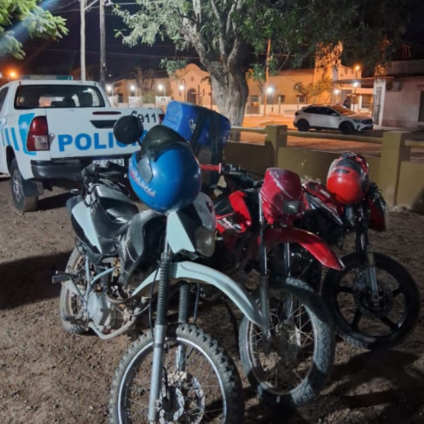En distintos procedimientos, la Policía secuestró droga y carne vacuna