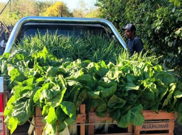 Producción  Paippera la localidad  de Riacho He-Hé
