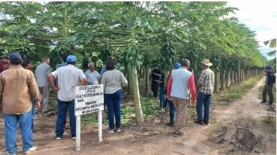 El CEDEVA celebra su 28° aniversario: una institución clave para el desarrollo agropecuario de Formosa