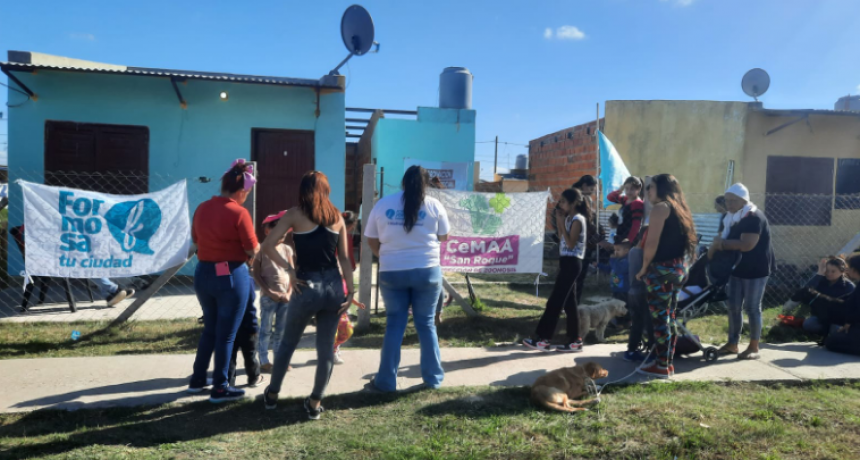 El Municipio está llevando a cabo un programa de castración por acumulación en barrios de la ciudad