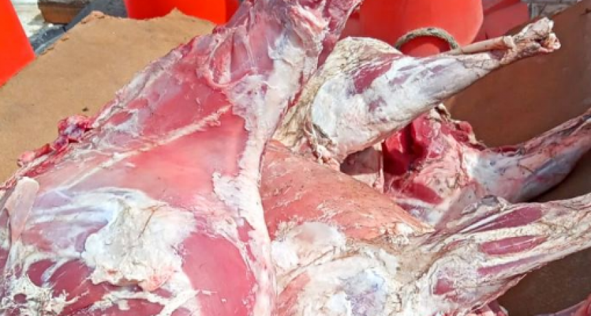 La Policía detuvo en Laguna Blanca a dos sujetos por el delito de abigeato calificado