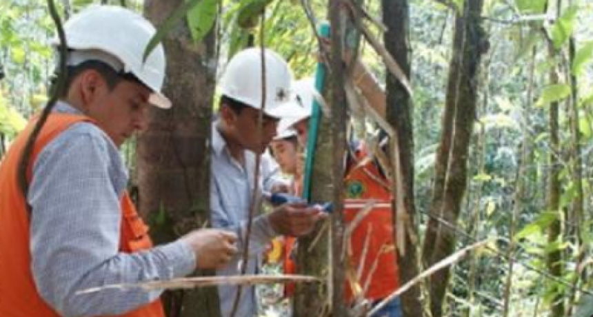 El rector Parmetler saludó a los ingenieros forestales en su día