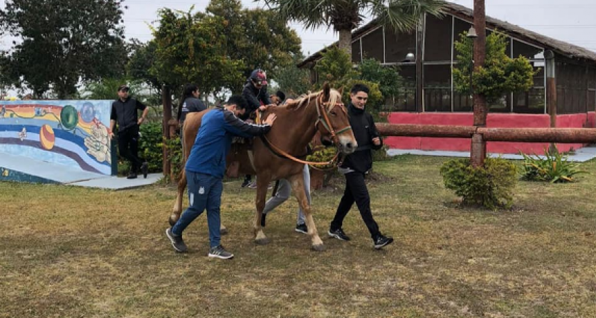 Avanza el Programa Provincial de Equinoterapia