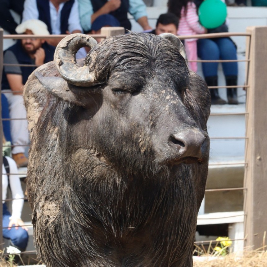 Preparativos en Marcha para la Expo Rural Formosa 2024