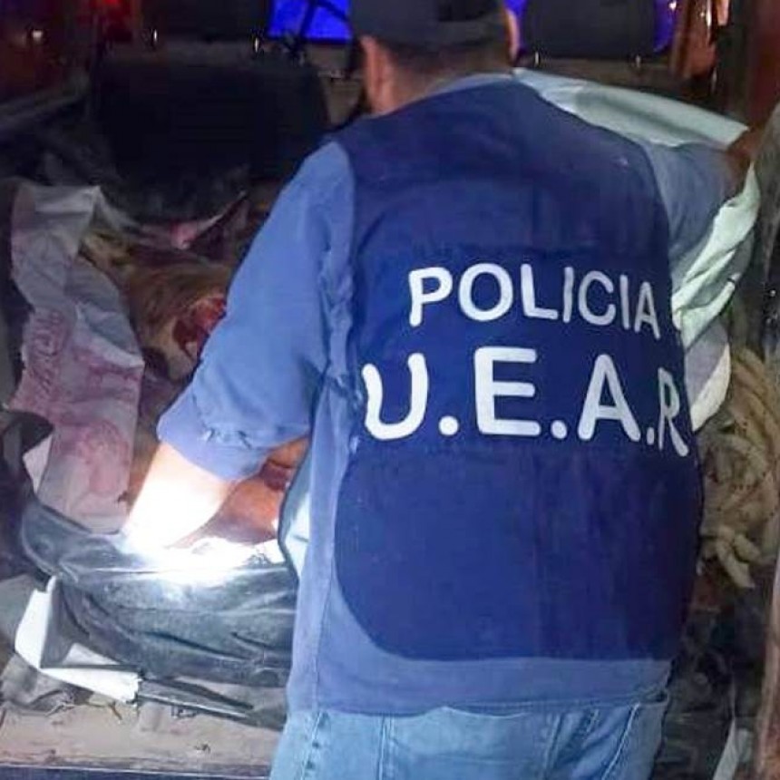 La Policía secuestró mas de 400 kilos de carne transportada en una camioneta sin respetar las condiciones de salubridad