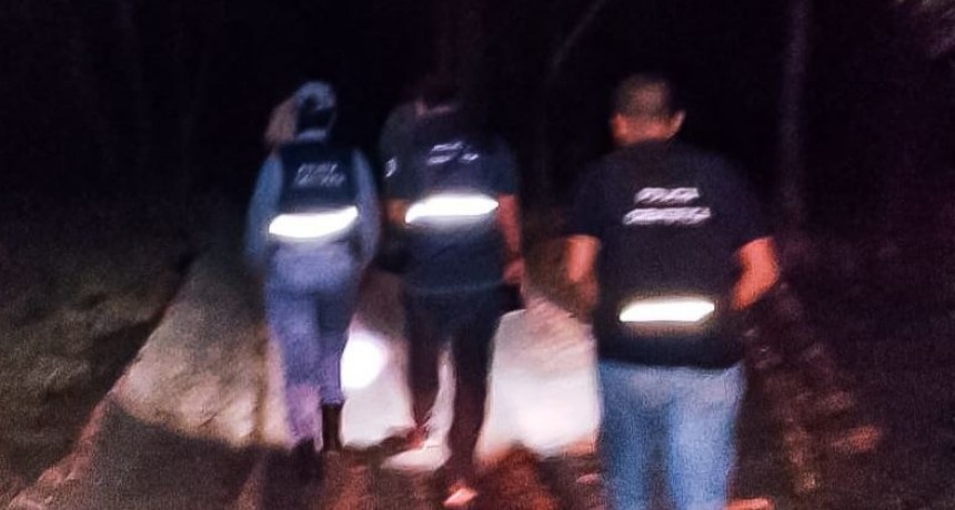 Un árbol cayó sobre un trabajador rural y lo mató, en Colonia Pilagá I