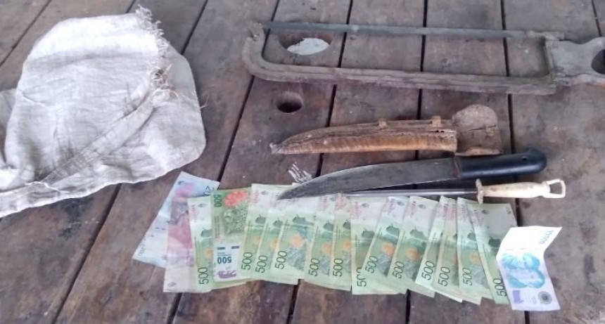 La Policía detuvo a un hombre y esclareció un caso de abigeato en Mariano Boedo