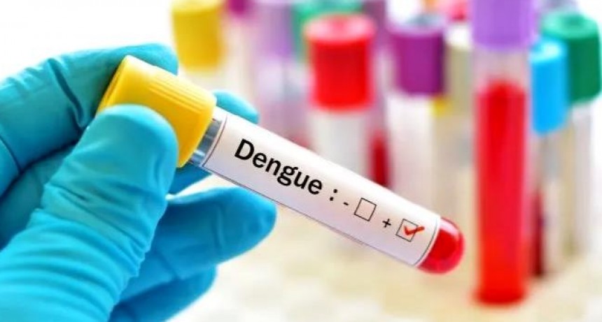 Los casos de dengue de esta semana se mantuvieron sin cambios respecto a la anterior