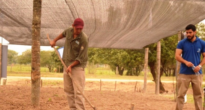 Refuerzan apoyo a pequeños productores con una jornada integral en Mojón de Fierro y Boca Riacho Pilagá