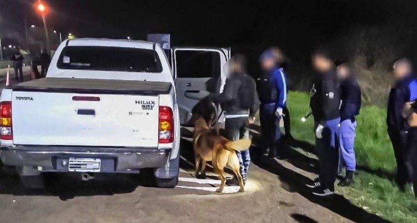 Detuvieron a cinco sujetos por lesionar a tres policías durante un procedimiento