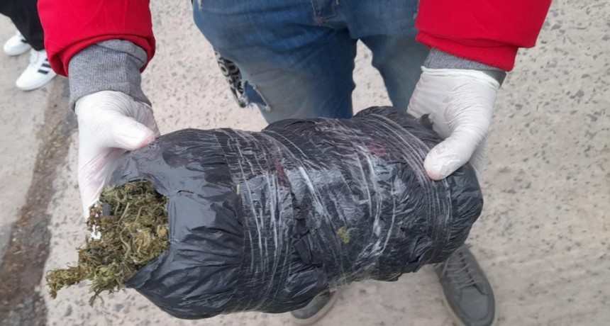 La Policía detuvo a dos hombres y secuestró cerca de un kilo de marihuana