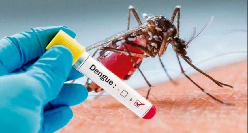 Dengue: seis casos positivos