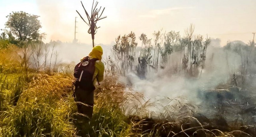 El Cuerpo de Bomberos extinguió un incendio de pastizal y campo