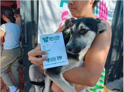 El Castramóvil municipal atenderá la próxima semana en el barrio 28 de Junio