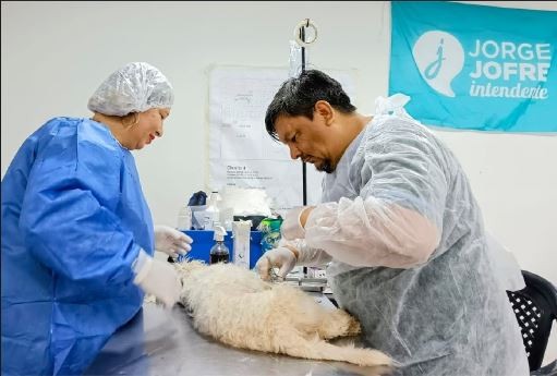 EL CASTRAMÓVIL MUNICIPAL ATENDERÁ LA PRÓXIMA SEMANA EN EL BARRIO 28 DE JUNIO 