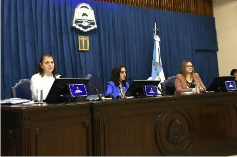 La Convención Constituyente de Formosa aprobó reformas clave: identidad, ambiente y protección de datos