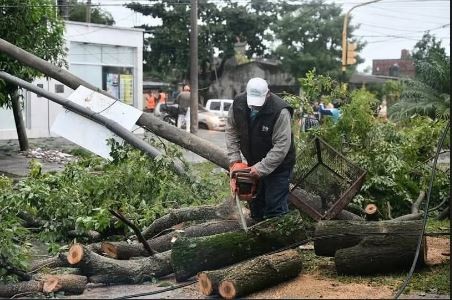 LA MUNICIPALIDAD CONTINÚA CON EL PROGRAMA DE PODA CORRECTIVA DE ÁRBOLES 