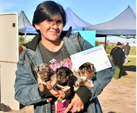 Exitosa jornada del Castramóvil municipal en el barrio 28 de Junio