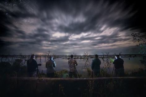 Fotógrafos de naturaleza maravillados con la rica diversidad de Formosa