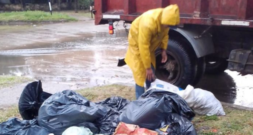 Permanentes operativos de recolección de residuos voluminosos en un vasto sector del ejido urbano